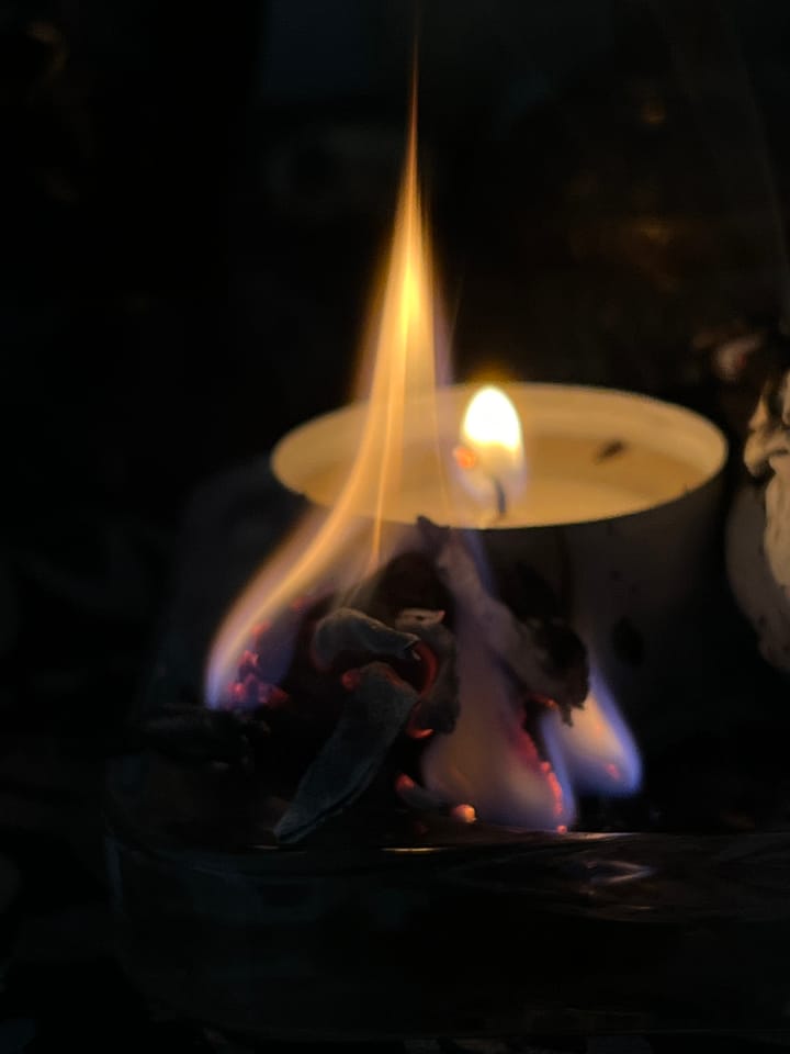 The Phoenix of Your True Self